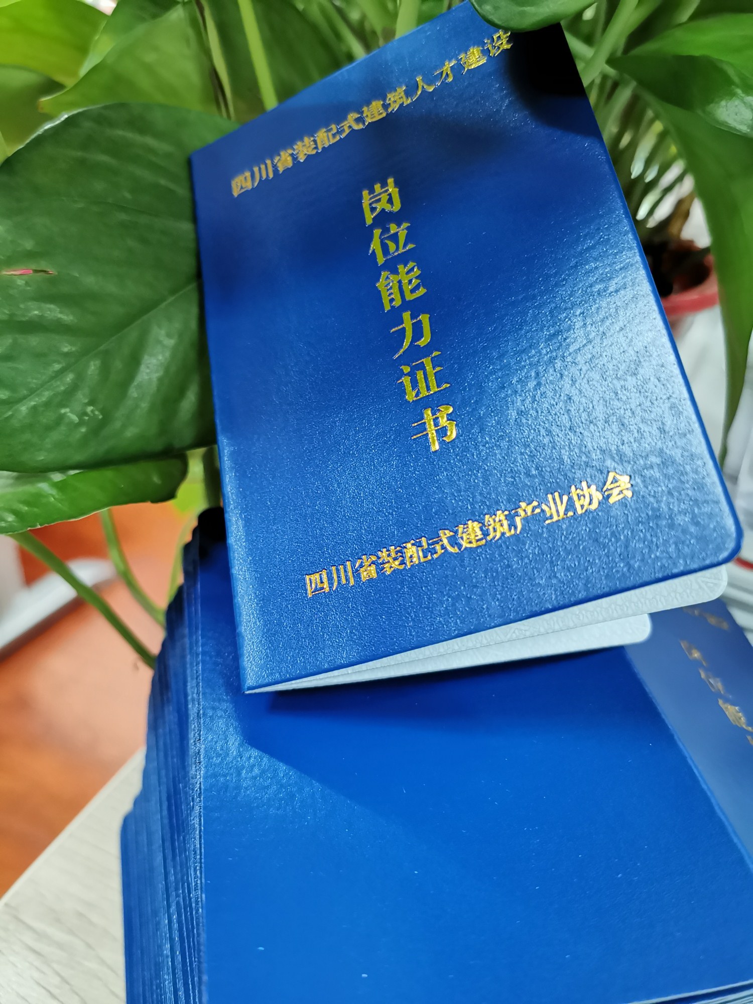 微信图片_20190717152520_副本.jpg