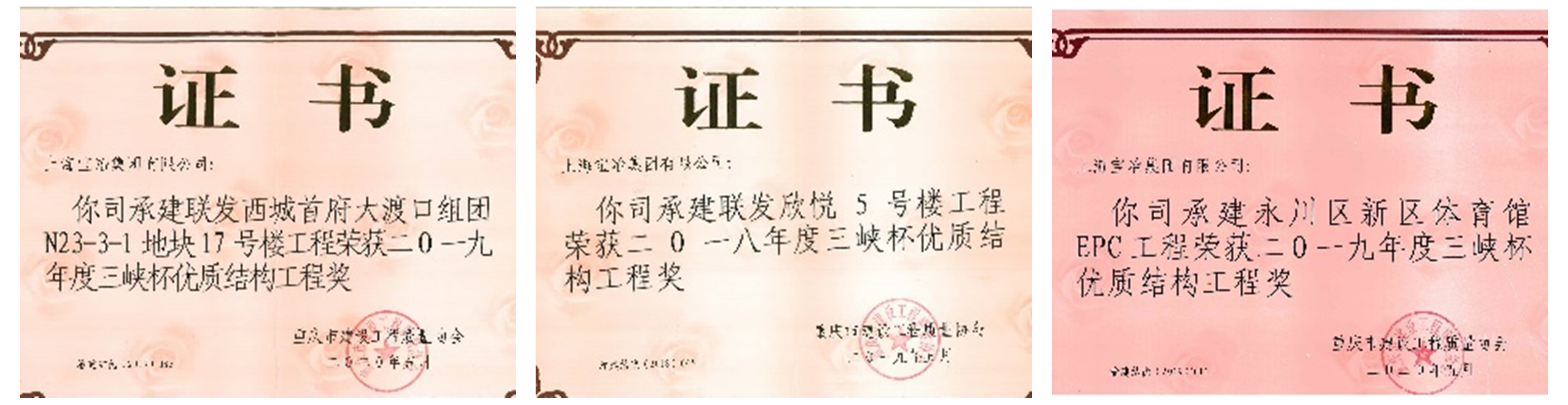重庆杯.png