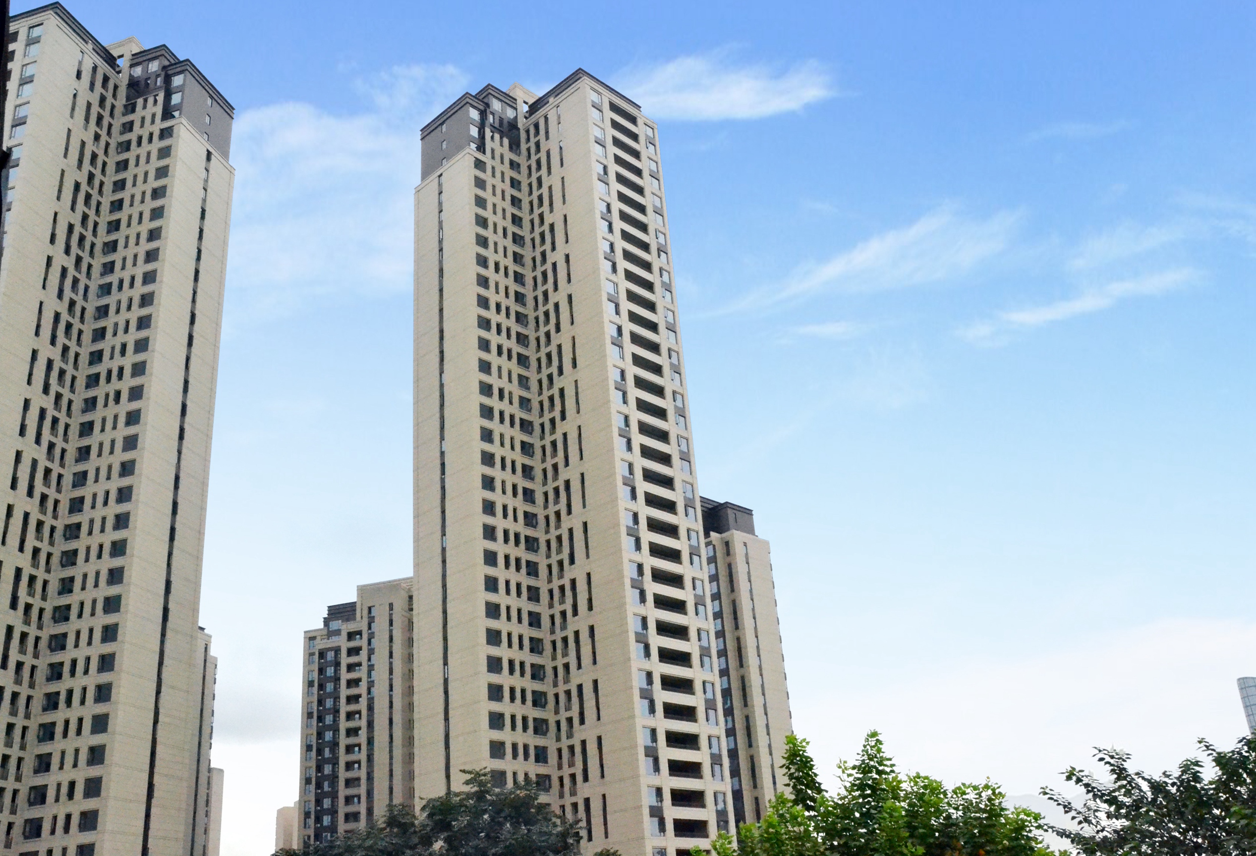 2-重庆瑞安化龙桥.jpg